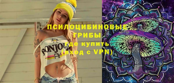 ГАЛЛЮЦИНОГЕННЫЕ ГРИБЫ Алексеевка