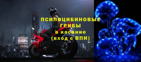 Альфа ПВП Алзамай