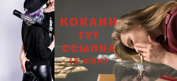 первитин Новодвинск