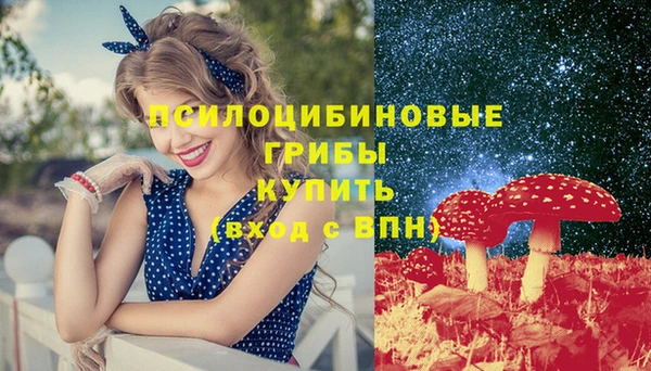 Альфа ПВП Алзамай